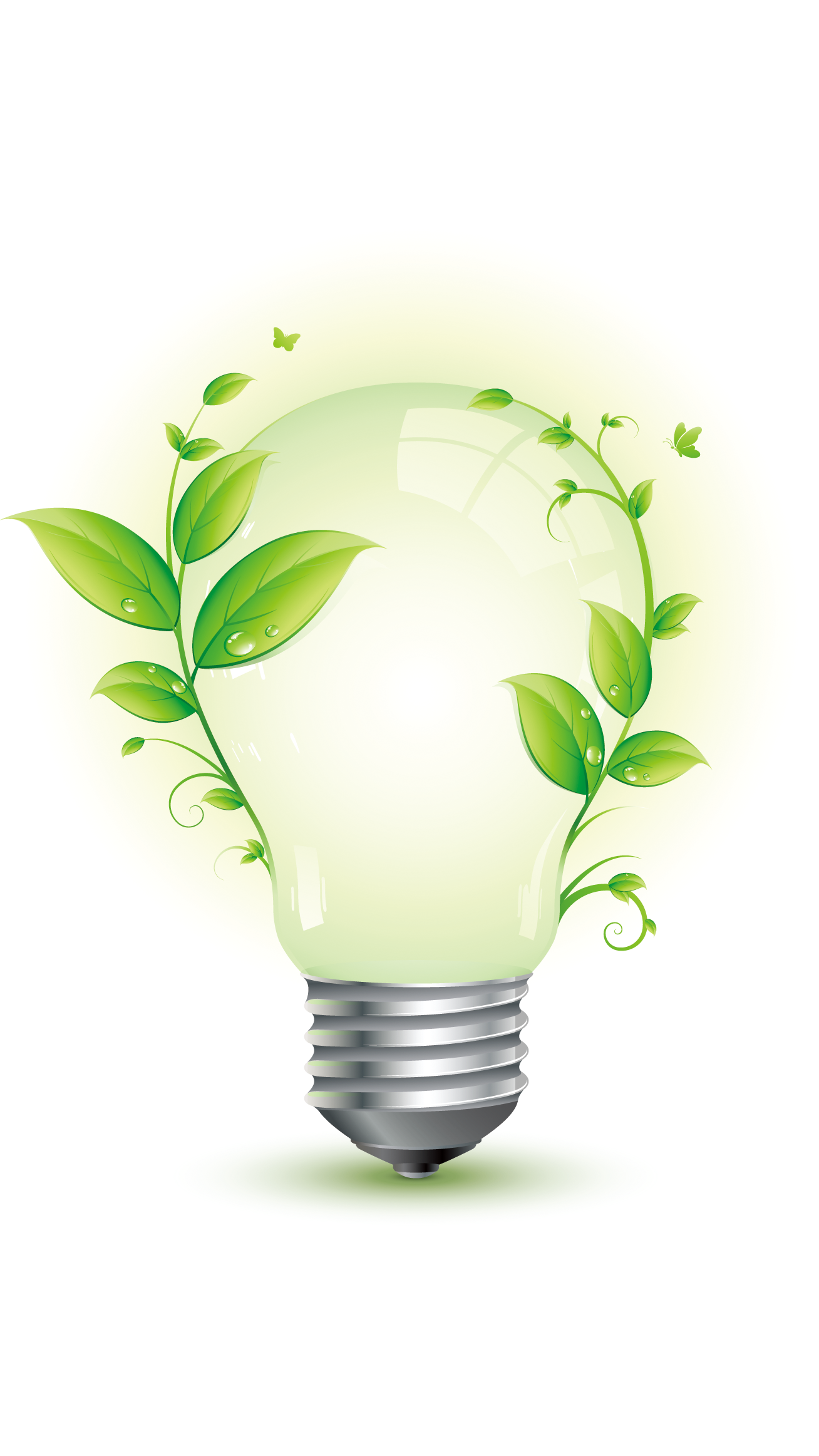 light01.png light01.png