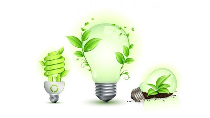 greenlight.jpg greenlight.jpg